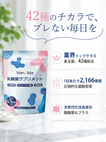 乳酸菌成分6.5兆個／袋 サプリメント