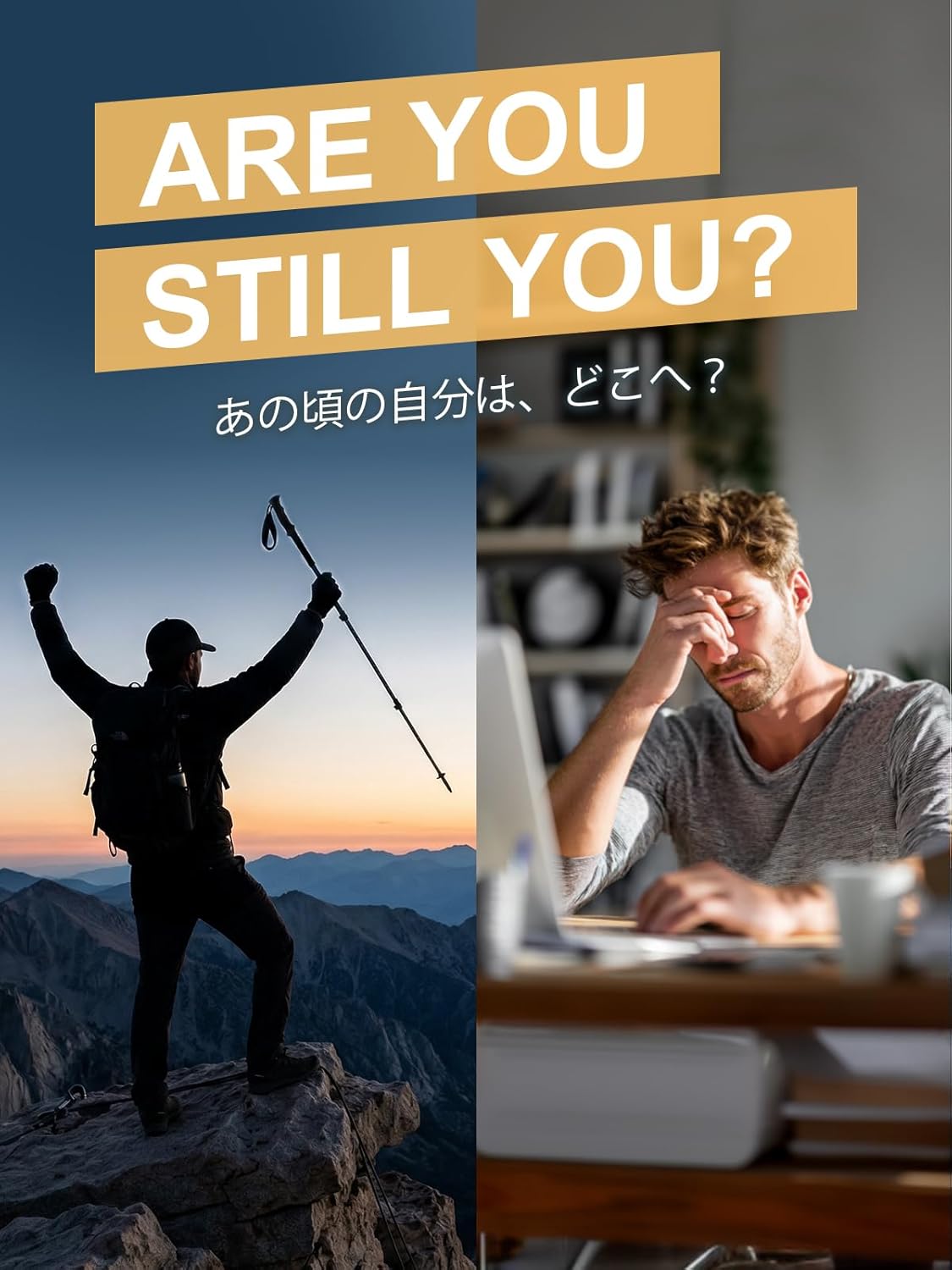 Vanoble Shilajit Resin シラジット サプリ Pure Himalayan shilajit for men/women フルボ酸 ミネラル 二酸化チタン不使用 無添加 GMP認定工場 樹脂 30日分 30G