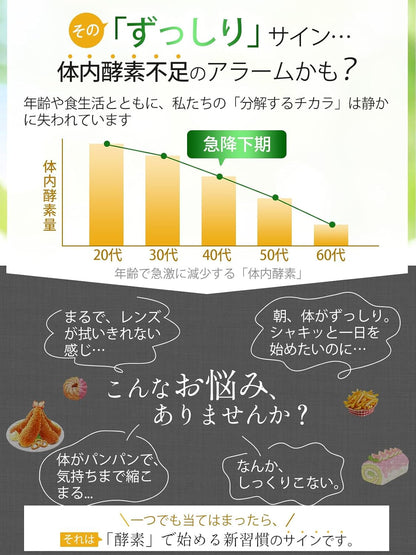 Vanoble 青パパイヤ オリゴ糖 パイナップル 酵素 サプリメント 植物乳酸菌 600億個 GMP認定工場 パイナップル風味 粉末 90g（3g×30包）/ 1袋