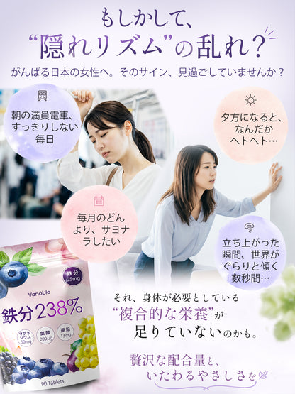 鉄25mg＋亜鉛13mg サプリメント