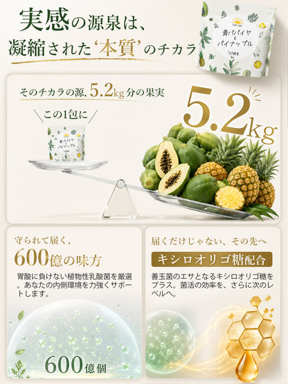 青パパイヤW酵素粉末