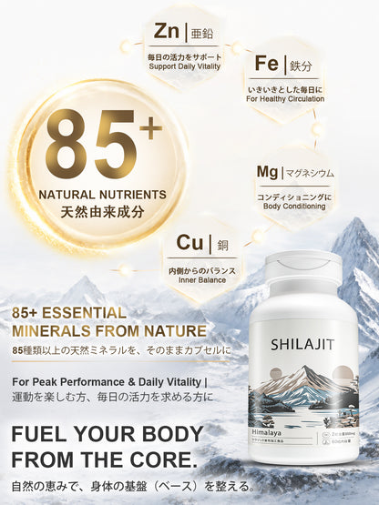 シラジットエキス400mg／粒 カプセル