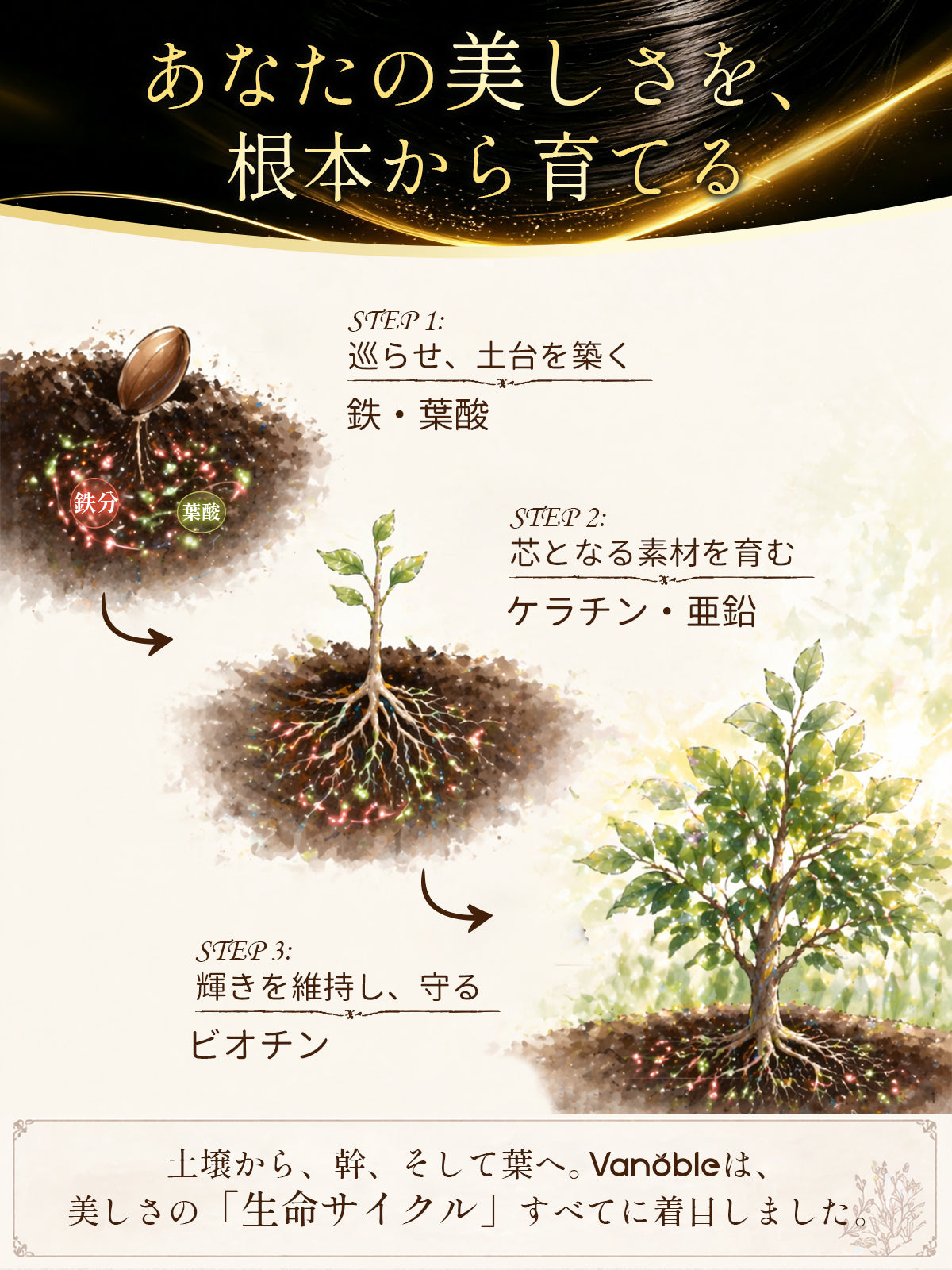 Vanoble ビオチン ケラチン サプリ ノコギリヤシ コラーゲン 鉄分 葉酸 亜鉛 ビタミンB群 美容サポート 黒髪 GMP認定工場 60粒