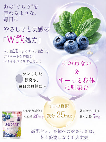 鉄25mg＋亜鉛13mg サプリメント