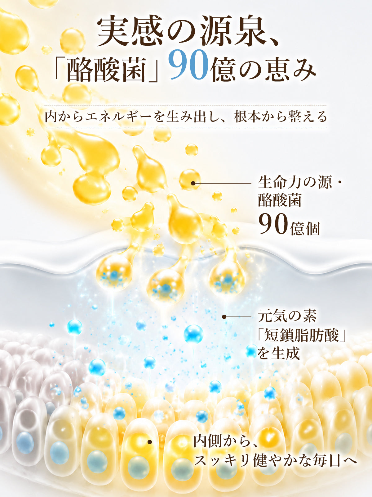 酪酸菌成分90億個／袋 サプリメント