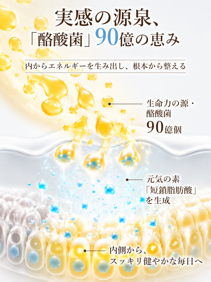 酪酸菌成分90億個／袋 サプリメント