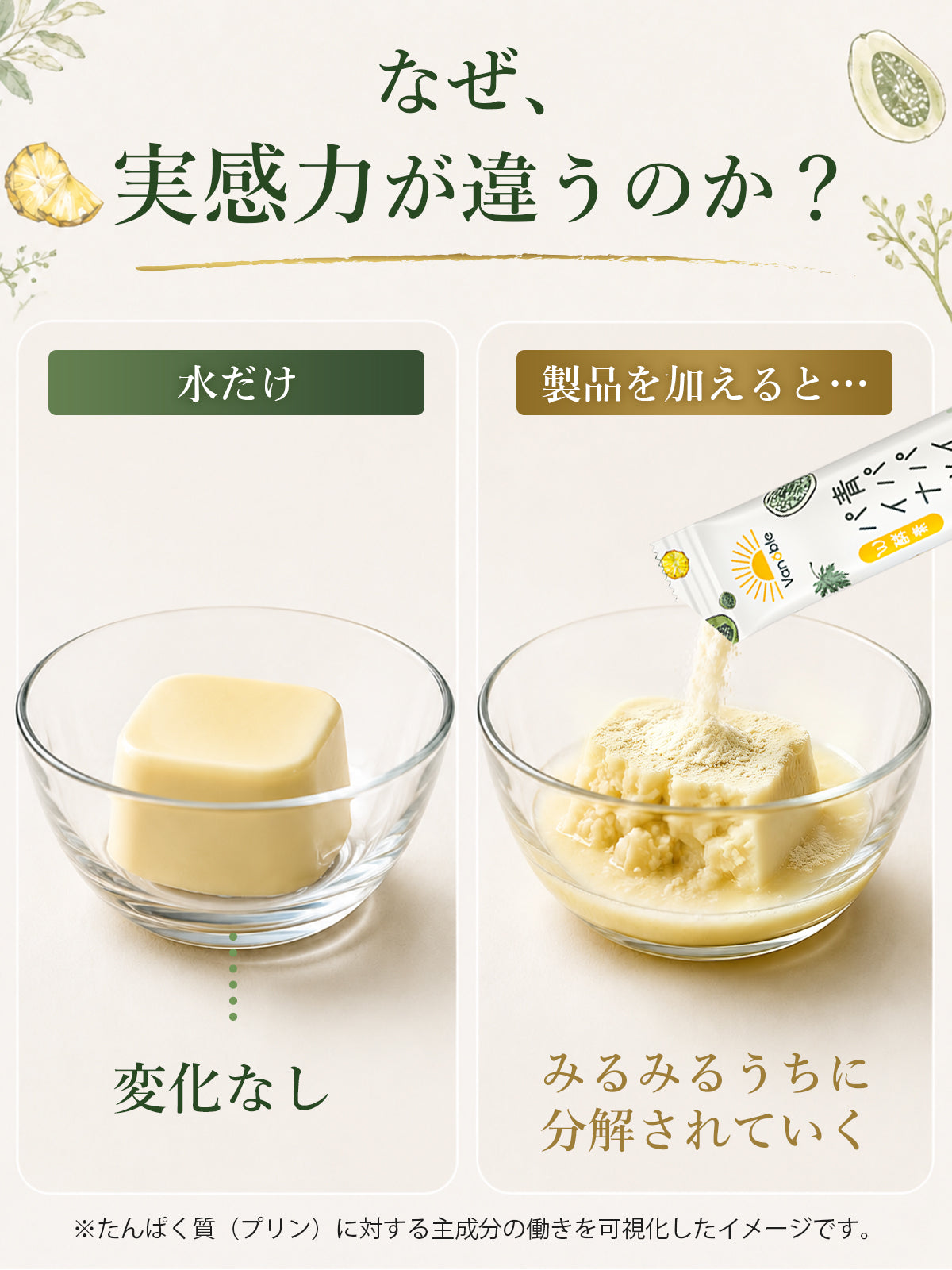 青パパイヤW酵素粉末