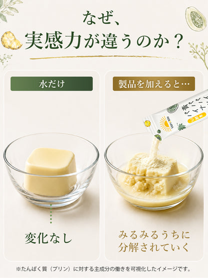 青パパイヤW酵素粉末