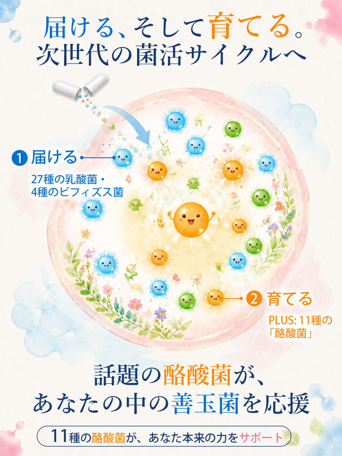 乳酸菌成分6.5兆個／袋 サプリメント