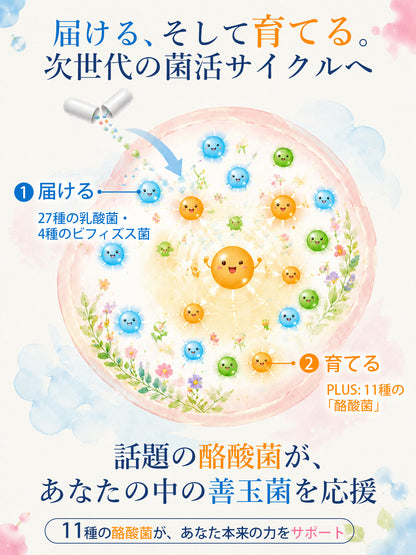 乳酸菌成分6.5兆個／袋 サプリメント