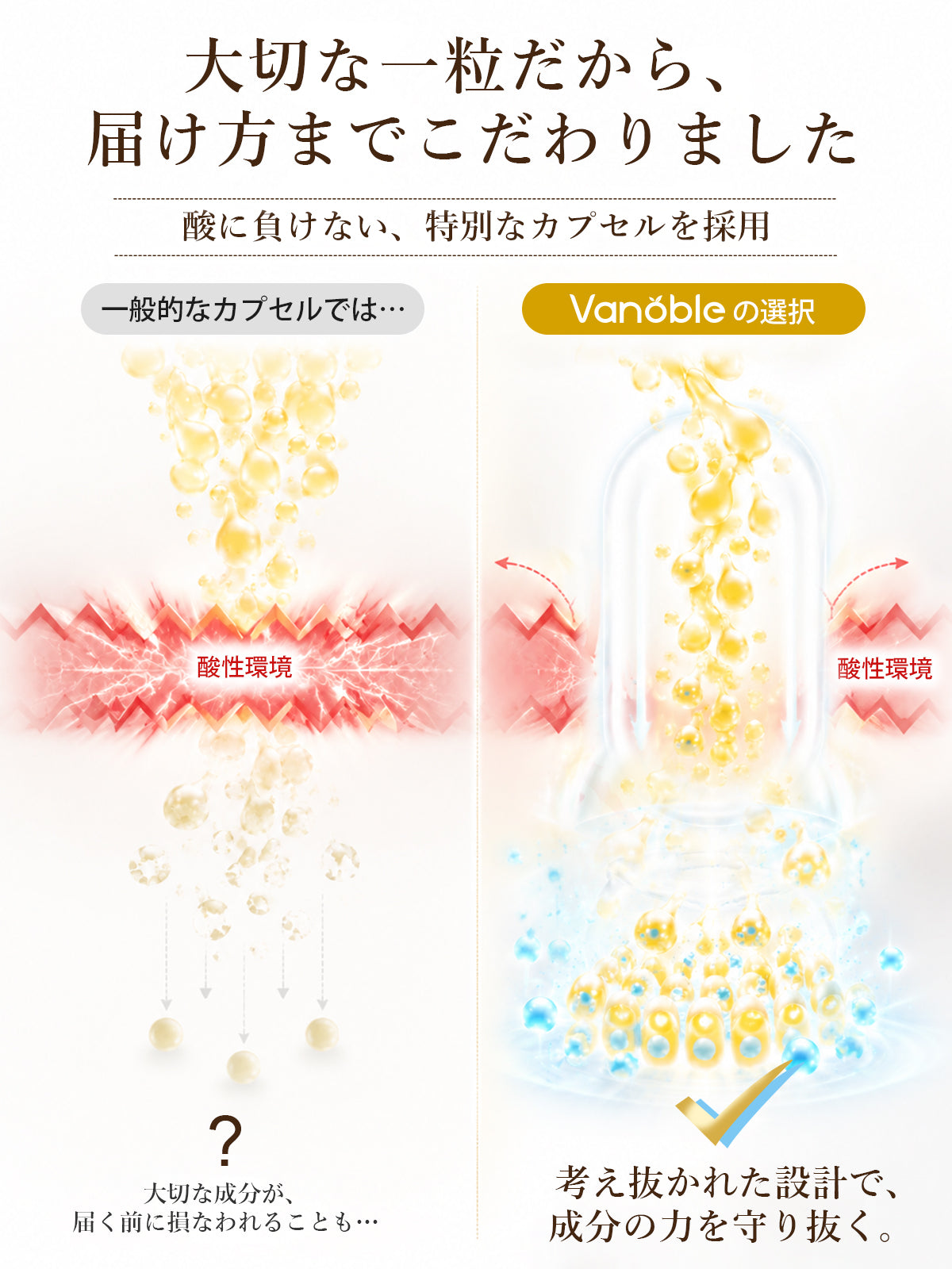 酪酸菌成分90億個／袋 サプリメント