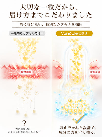 酪酸菌成分90億個／袋 サプリメント