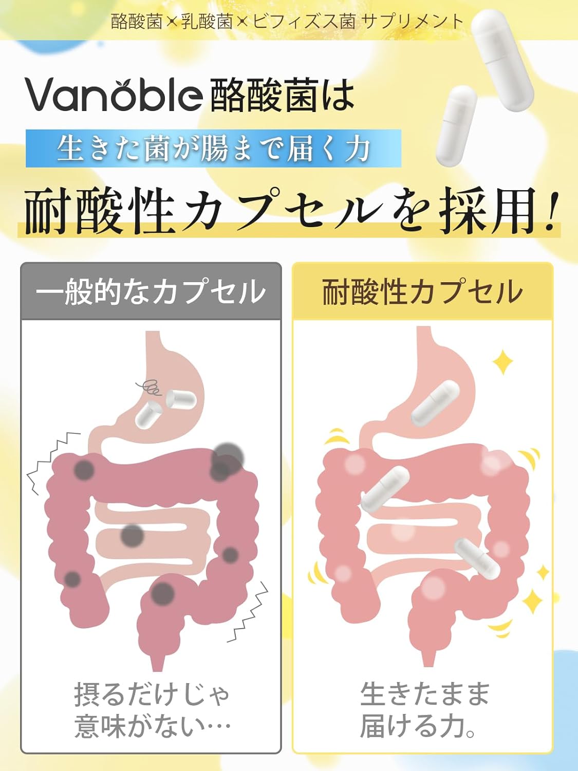 Vanoble 酪酸菌 サプリ 90億個 乳酸菌 ビフィズス菌 オリゴ糖 食物繊維 イヌリン 菌活 耐酸性カプセル採用 GMP認定工場 60粒30日分