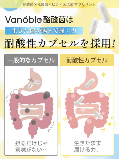 Vanoble 酪酸菌 サプリ 90億個 乳酸菌 ビフィズス菌 オリゴ糖 食物繊維 イヌリン 菌活 耐酸性カプセル採用 GMP認定工場 60粒30日分