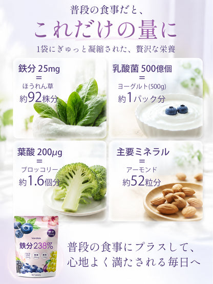 鉄25mg＋亜鉛13mg サプリメント