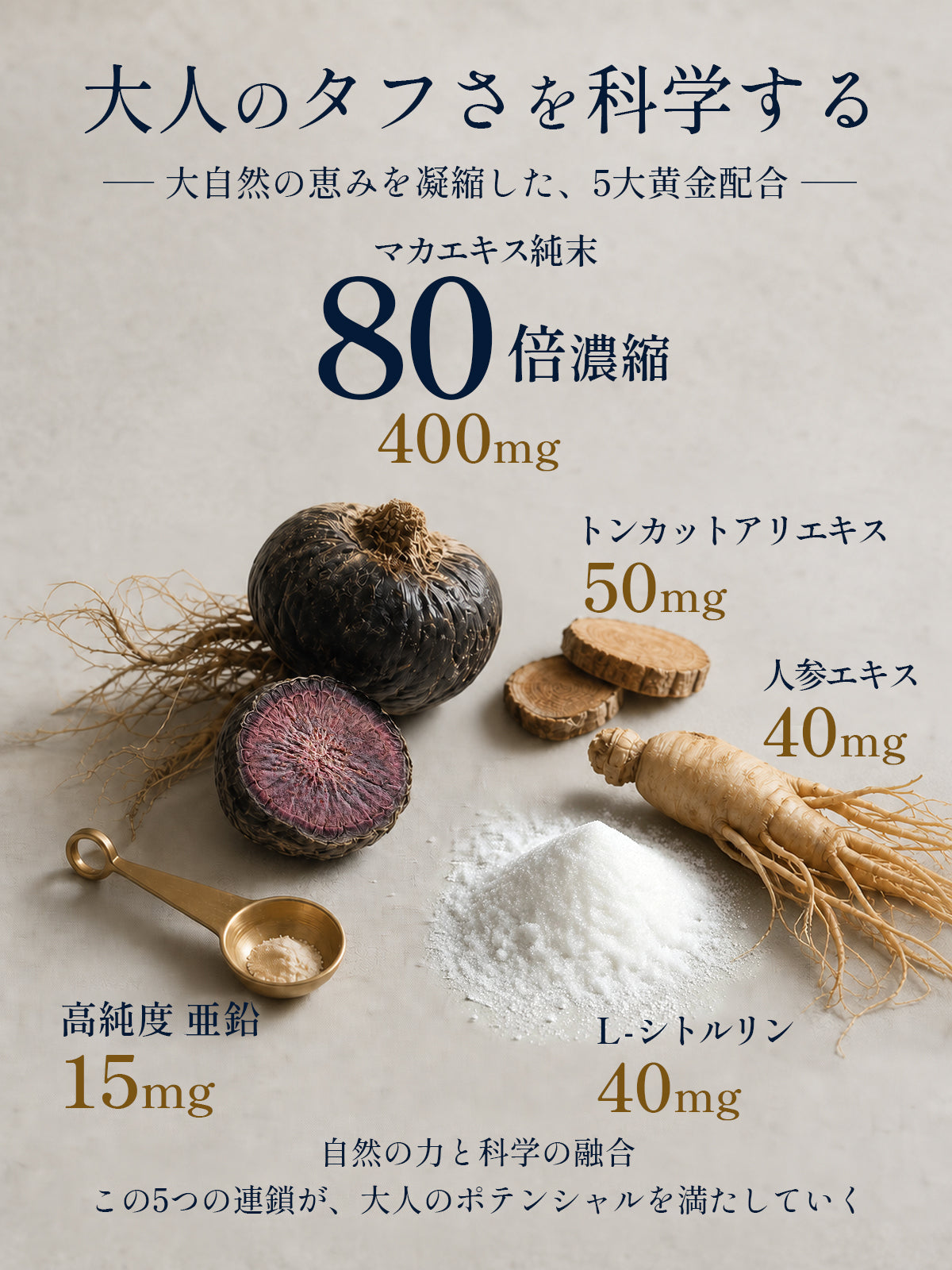 Vanoble マカ400mg 人参 トンカットアリ L-シトルリン L-アルギニン  ビタミンB群 GMP認定工場 30日分60粒