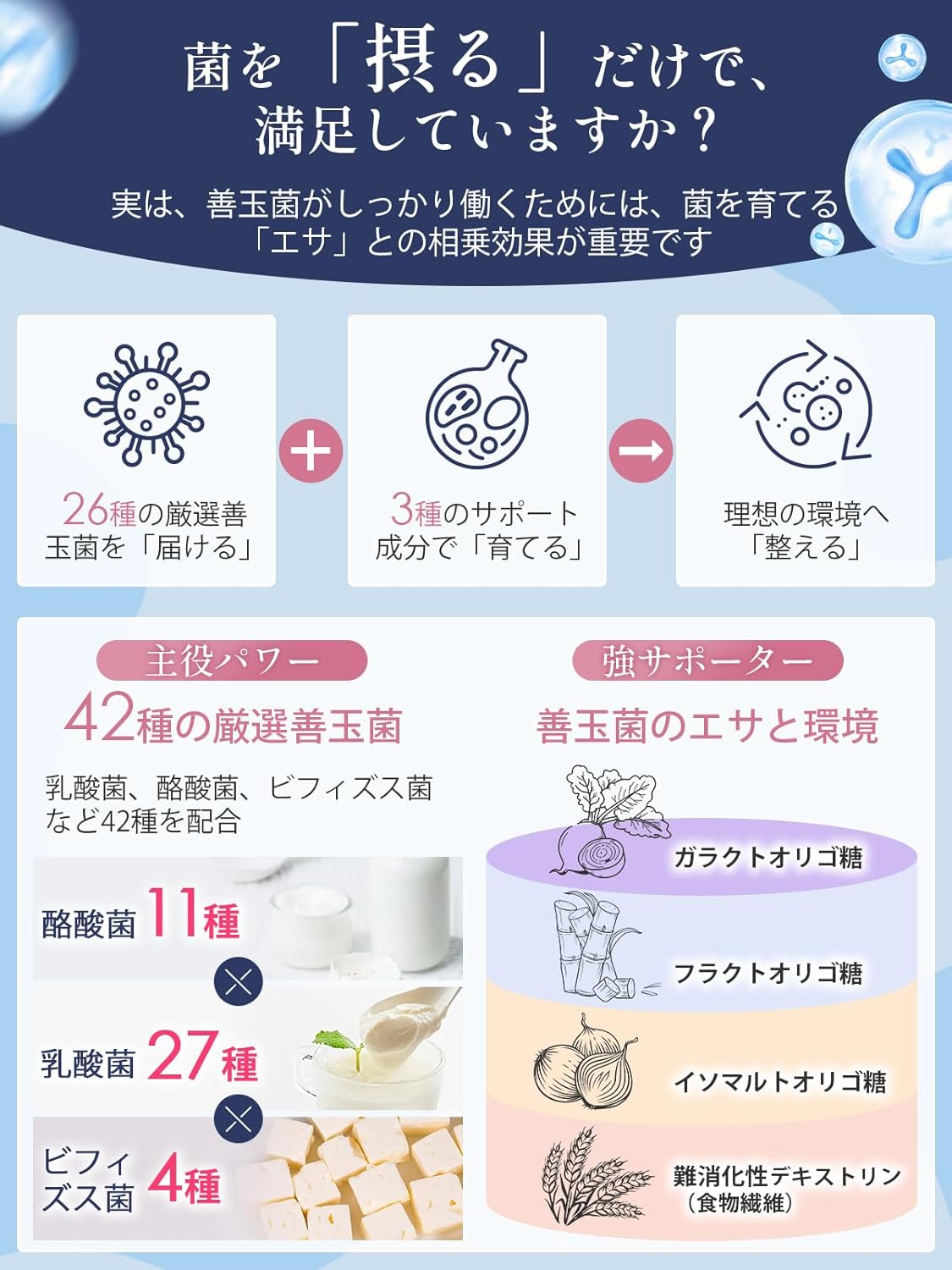 Vanoble 乳酸菌 サプリ 6.5兆個 酪酸菌 ビフィズス菌 オリゴ糖 食物繊維 イヌリン 耐酸性カプセル採用 GMP認定工場 60粒30日分