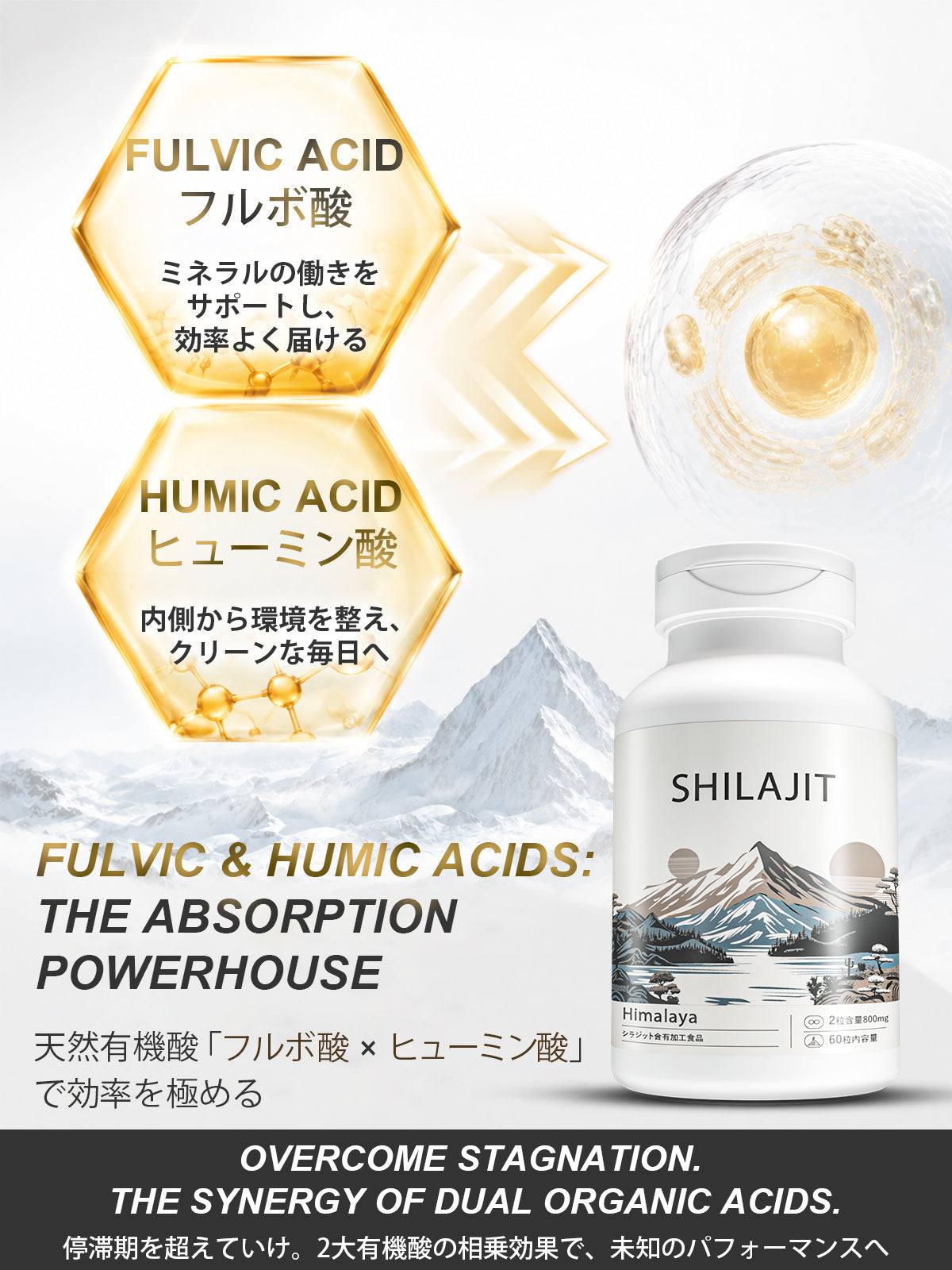 シラジットエキス400mg／粒 カプセル
