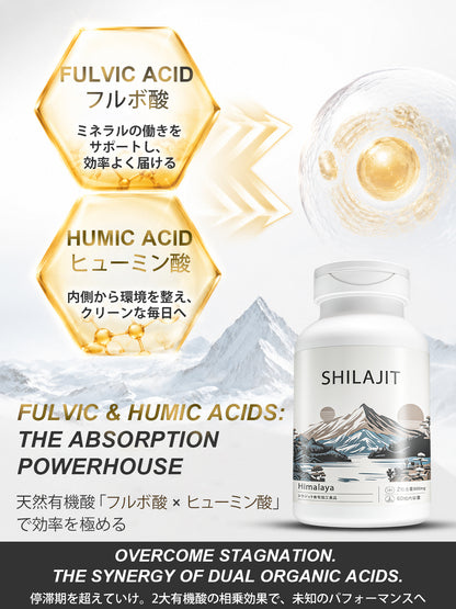 シラジットエキス400mg／粒 カプセル
