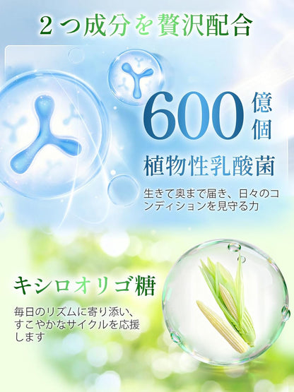 Vanoble 青パパイヤ オリゴ糖 パイナップル 酵素 サプリメント 植物乳酸菌 600億個 GMP認定工場 パイナップル風味 粉末 90g（3g×30包）/ 1袋