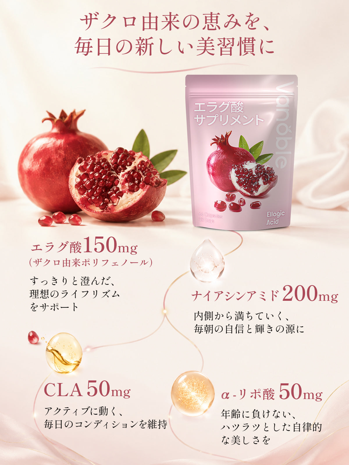 エラグ酸150mg＋ナイアシンアミド200mg サプリメント