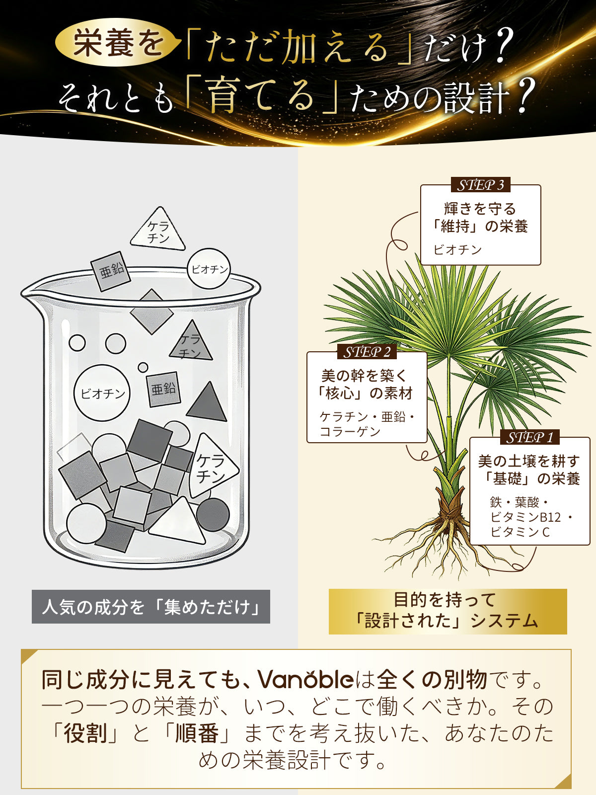 Vanoble ビオチン ケラチン サプリ ノコギリヤシ コラーゲン 鉄分 葉酸 亜鉛 ビタミンB群 美容サポート 黒髪 GMP認定工場 60粒