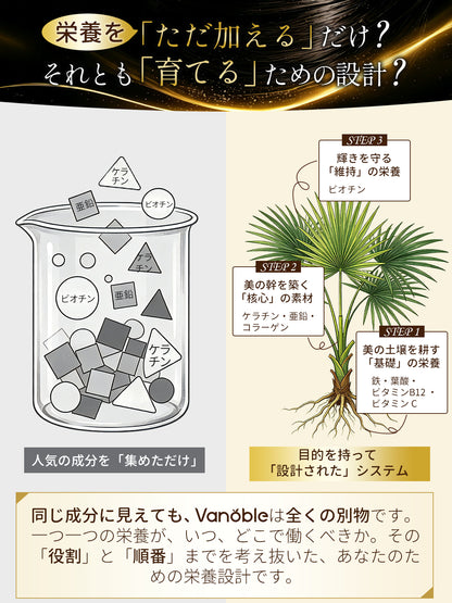 Vanoble ビオチン ケラチン サプリ ノコギリヤシ コラーゲン 鉄分 葉酸 亜鉛 ビタミンB群 美容サポート 黒髪 GMP認定工場 60粒