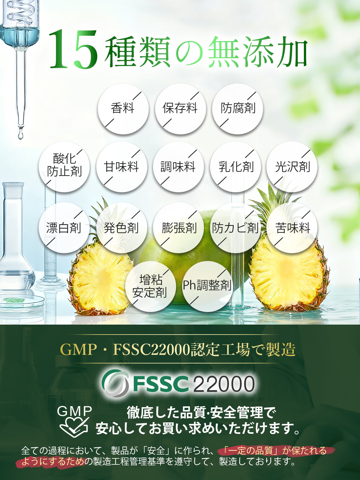 青パパイヤW酵素粉末