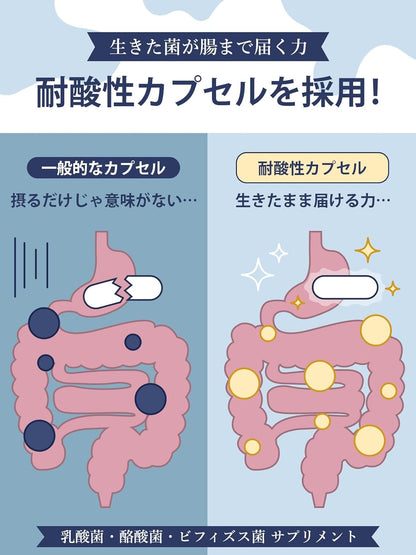 Vanoble 乳酸菌 サプリ 6.5兆個 酪酸菌 ビフィズス菌 オリゴ糖 食物繊維 イヌリン 耐酸性カプセル採用 GMP認定工場 60粒30日分