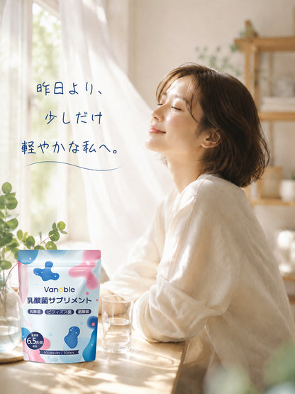 乳酸菌成分6.5兆個／袋 サプリメント