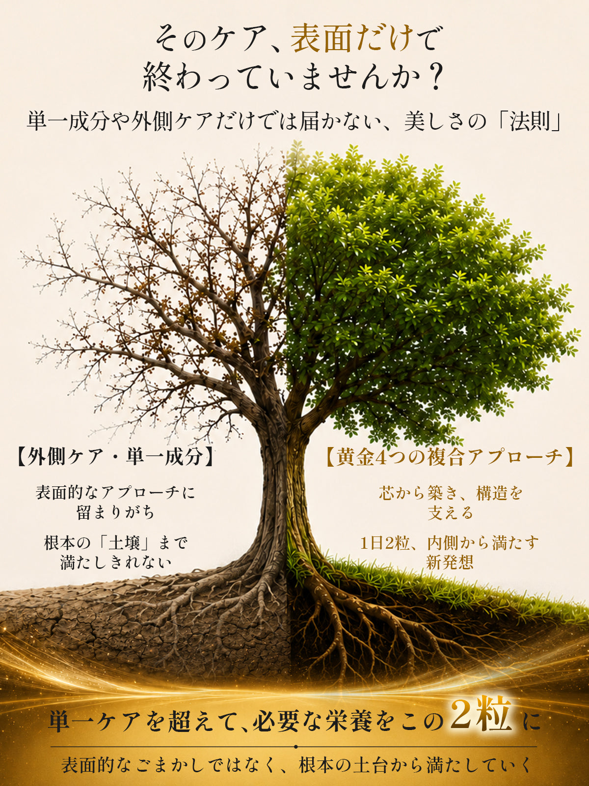 ビオチン500μg＋ケラチン100mg サプリメント